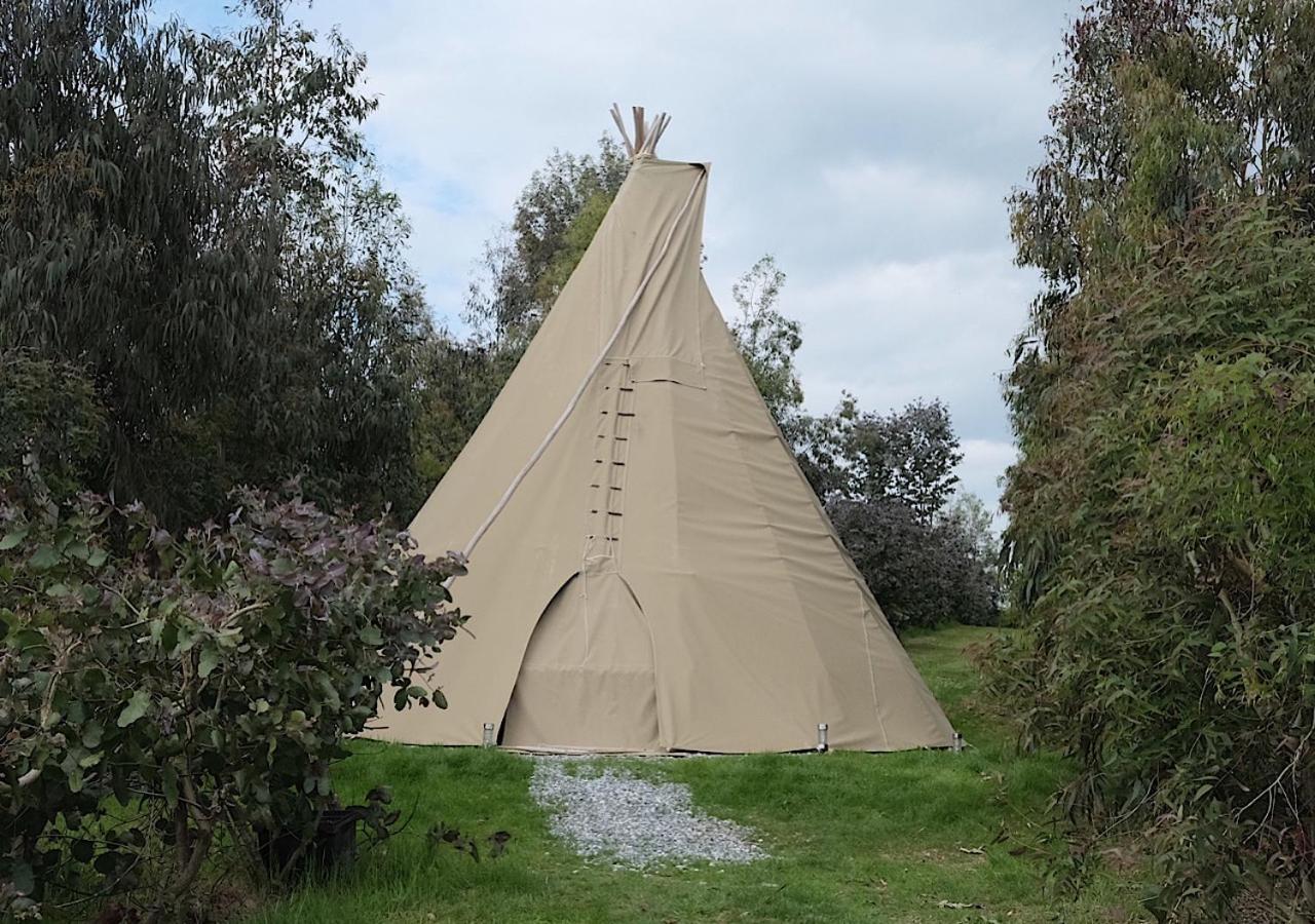 Отель Gumtree Tipis Bickington Экстерьер фото