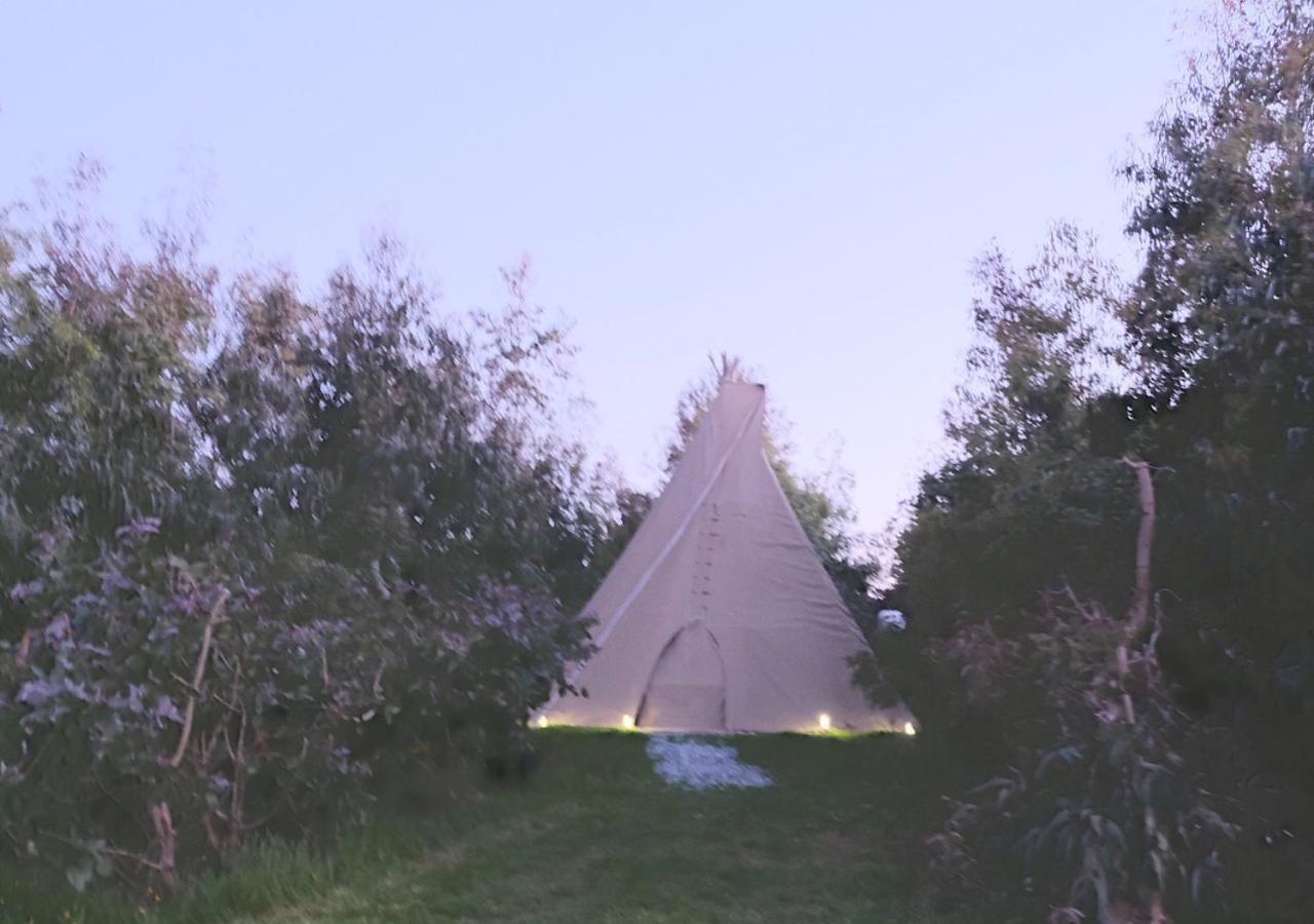 Отель Gumtree Tipis Bickington Экстерьер фото