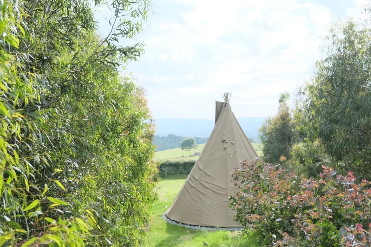 Отель Gumtree Tipis Bickington Экстерьер фото